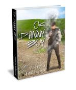 Ok Danny Boy 3D_Cover